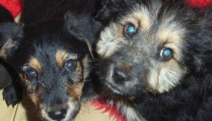 Ekostraż foto Ekostraż foto